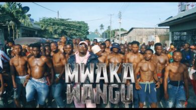 VIDEO: Harmonize - Mwaka Wangu (Mp4 Download) - KibaBoy