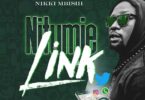 Audio: Nikki Mbishi - Nitumie Link (Mp3 Download) - KibaBoy