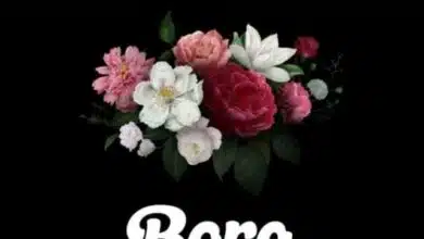 Audio: Neyba - Bora Uhai (Mp3 Download)