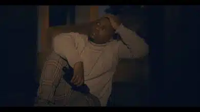 VIDEO: Rayvanny Ft Abby Chams - Stay (Mp4 Download)