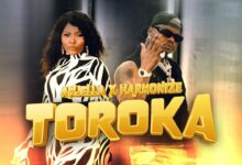 VIDEO: Anjella Ft. Harmonize - Toroka (Mp4 Download) - KibaBoy