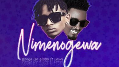 Audio: Bonga De Alpha Ft. Level - Nimenogewa (Mp3 Download) - KibaBoy