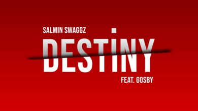 Audio: Salmin Swaggz Ft. Gosby - Destiny (Mp3 Download) - KibaBoy