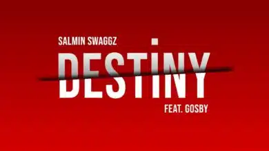 Audio: Salmin Swaggz Ft. Gosby - Destiny (Mp3 Download)