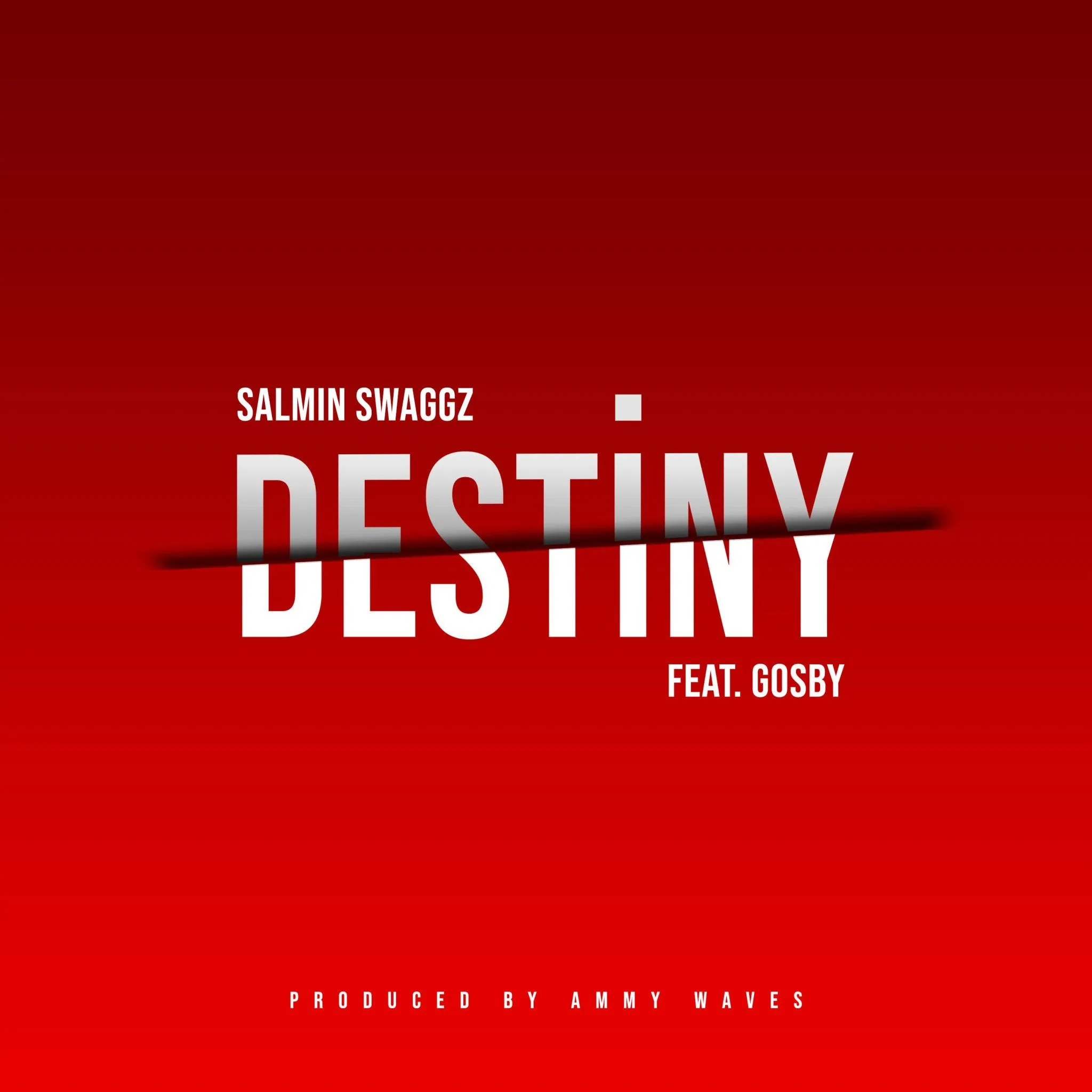 Audio: Salmin Swaggz Ft. Gosby - Destiny (Mp3 Download)