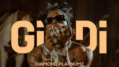 Audio: Diamond Platnumz - Gidi (Mp3 Download) - KibaBoy