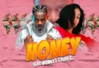 Audio: Rayvanny Ft. Ray C - Honey (Mp3 Download) - KibaBoy