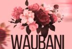 Audio: Kassim Mganga - Waubani (Mp3 Download) - KibaBoy