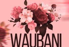 Audio: Kassim Mganga - Waubani (Mp3 Download) - KibaBoy