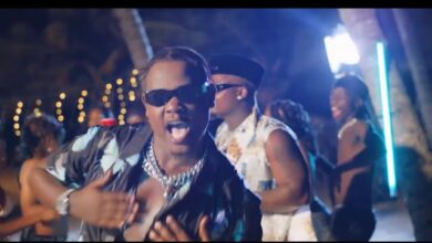 VIDEO: Bruce Melodie Ft Harmonize - Totally Crazy (Mp4 Download) - KibaBoy