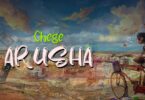 Lyrics VIDEO: Chege - Arusha (Mp4 Download) - KibaBoy