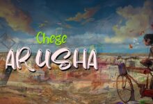 Lyrics VIDEO: Chege - Arusha (Mp4 Download) - KibaBoy