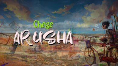 Lyrics VIDEO: Chege - Arusha (Mp4 Download) - KibaBoy