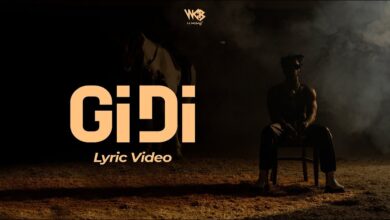 Lyric VIDEO: Diamond Platnumz - Gidi (Mp4 Download) - KibaBoy