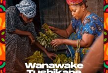 Audio: Snura - Wamawake Tushikane (Mp3 Download) - KibaBoy