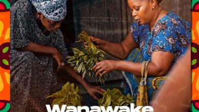 Audio: Snura - Wamawake Tushikane (Mp3 Download) - KibaBoy