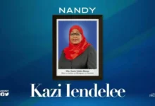 Audio: Nandy - Kazi Iendelee (Mp3 Download) - KibaBoy