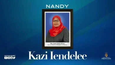 Audio: Nandy - Kazi Iendelee (Mp3 Download) - KibaBoy