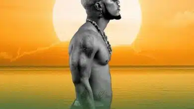 Audio: Rhino King - Leo (Mp3 Download)