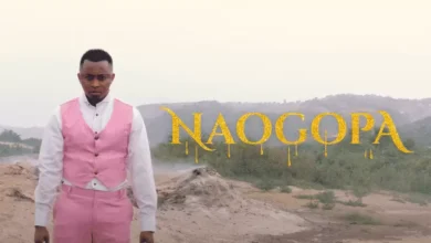 VIDEO: Mavokali - Naogopa (Mp4 Download) - KibaBoy