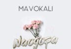 Audio: Mavokali - Naogopa (Mp3 Download) - KibaBoy