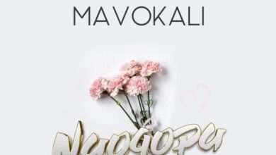 Audio: Mavokali - Naogopa (Mp3 Download) - KibaBoy