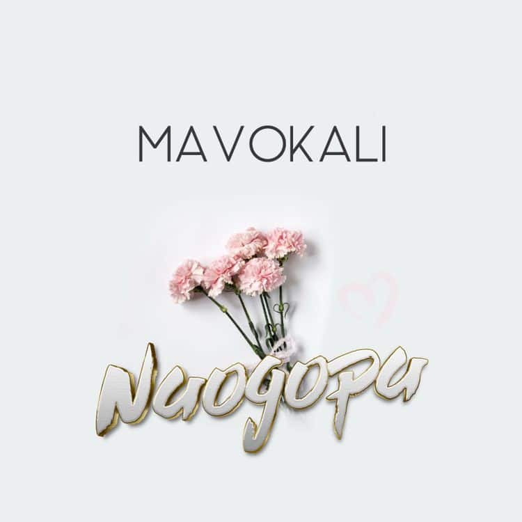 Audio: Mavokali - Naogopa (Mp3 Download) - KibaBoy