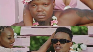 VIDEO: Marioo Ft. Harmonize - Naogopa (Mp4 Download) - KibaBoy