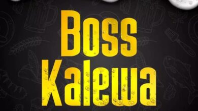 Audio: Meja Kunta - Bosi Kalewa (Mp3 Download) - KibaBoy