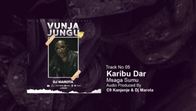 Audio: Msaga Sumu - Karibu Dar (Mp3 Download) - KibaBoy