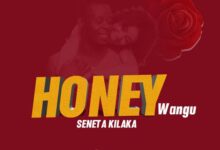 Audio: Seneta Kilaka - Honey Wangu (Mp3 Download) - KibaBoy