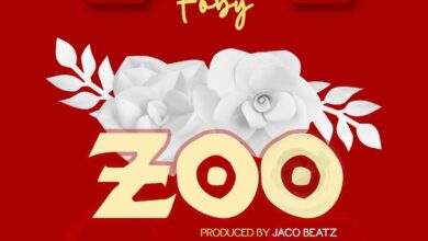 Audio: Foby - Zoo Chu (Mp3 Download) - KibaBoy