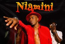 Audio: Hamadai Ft. Alikiba – Niamini (Mp3 Download) - KibaBoy