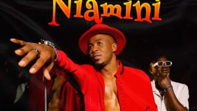 Audio: Hamadai Ft. Alikiba – Niamini (Mp3 Download) - KibaBoy