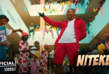 VIDEO: Alikiba Ft. Blaq Diamond - Niteke (Mp4 Download) - KibaBoy