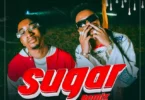 Audio: Jay Melody Ft. Marioo - Sugar Remix (Mp3 Download) - KibaBoy