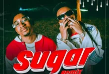 Audio: Jay Melody Ft. Marioo - Sugar Remix (Mp3 Download) - KibaBoy