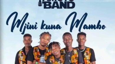 Audio: Yamoto Band - Mjini Kuna Mambo (Mp3 Download) - Kibaboy