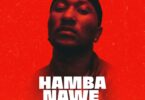 Audio: DJ Seven Worldwide Ft. Leon Lee - Hamba Nawe (Pt. 2) (Mp3 Download) - KibaBoy