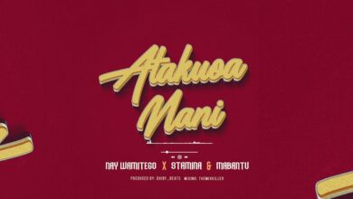 Audio: Nay Wa Mitego X Stamina & Mabantu - Atakuoa Nani (Mp3 Download) - KibaBoy