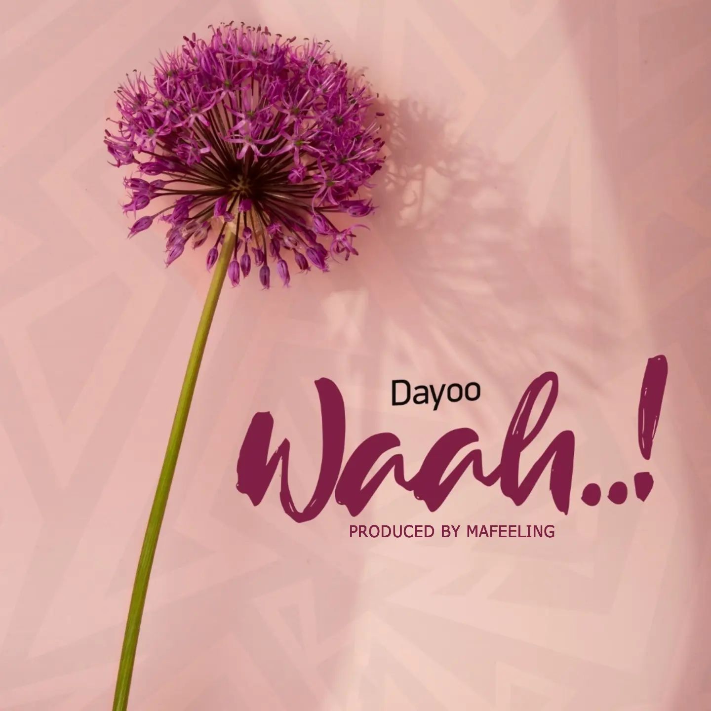 Audio: Dayoo - Waah (Mp3 Download) - KibaBoy