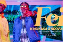 VIDEO: King Kaka Ft. Ndovu Kuu - FEI (Mp4 Download) - KibaBoy