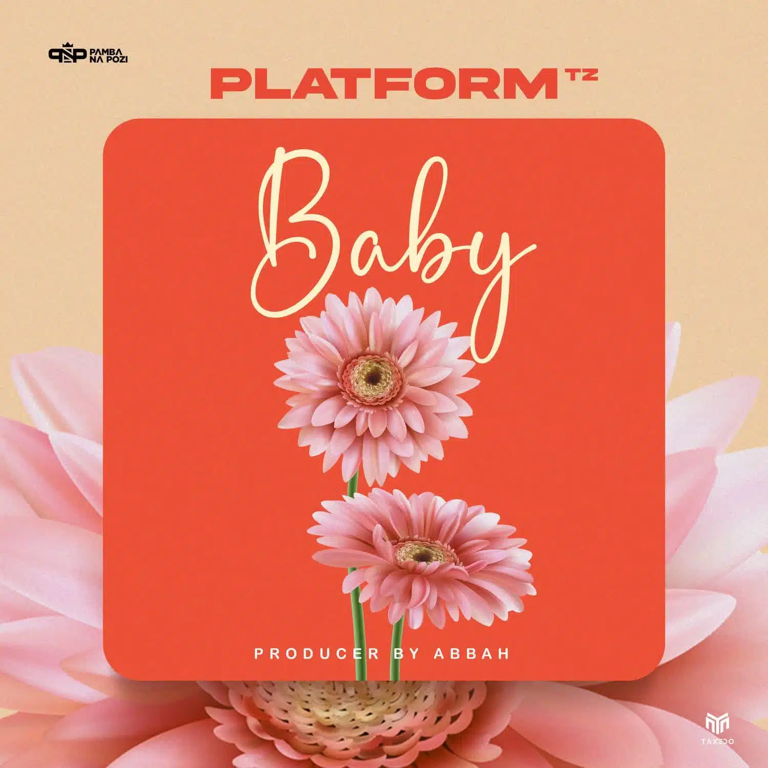 Audio: Platform - Baby (Mp3 Download)