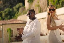 VIDEO: Rayvanny Ft. Luana Vjollca - Pele Pele (Mp4 Download) - KibaBoy