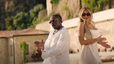 VIDEO: Rayvanny Ft. Luana Vjollca - Pele Pele (Mp4 Download) - KibaBoy