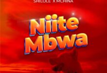 Audio: Shilole x Mchina Mweusi - Niite Mbwa (Mp3 Download) - KibaBoy