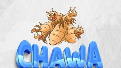 Audio: Stan Bakora Ft. Novoh - Chawa (Mp3 Download) - KibaBoy