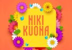 Audio: Nay Wa Mitego Ft. Alikiba - Nikikuona (Mp3 Download) - KibaBoy