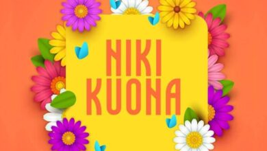 Audio: Nay Wa Mitego Ft. Alikiba - Nikikuona (Mp3 Download) - KibaBoy