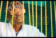 VIDEO: Hamadai Ft. Shetta - Madoido (Mp4 Download) - KibaBoy